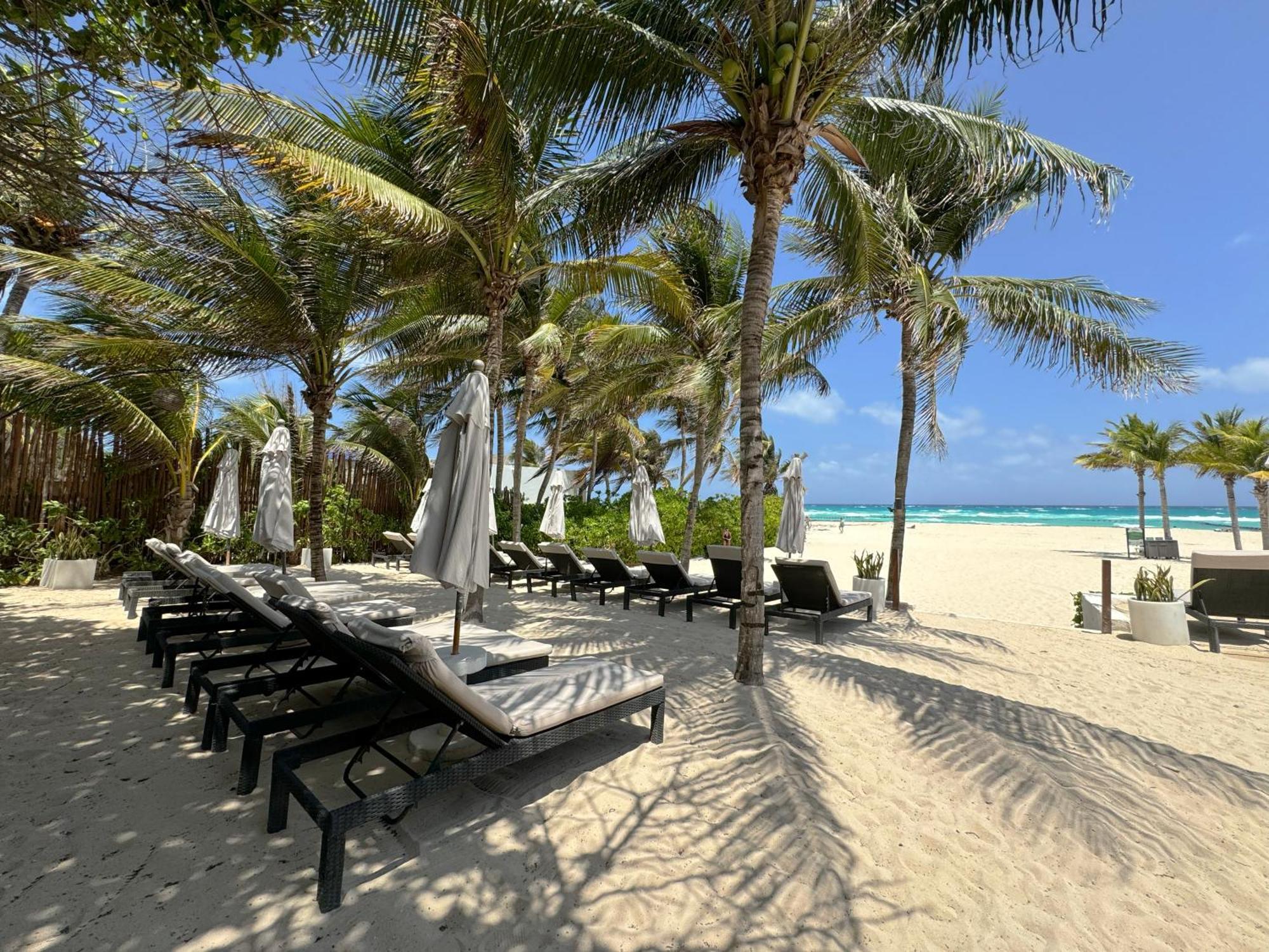 The Reef Playacar Beach Resort & Spa Πλάγια Ντελ Κάρμεν Εξωτερικό φωτογραφία